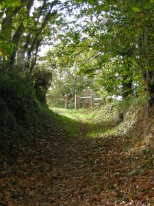 chemin creux aux environs du château d'eau